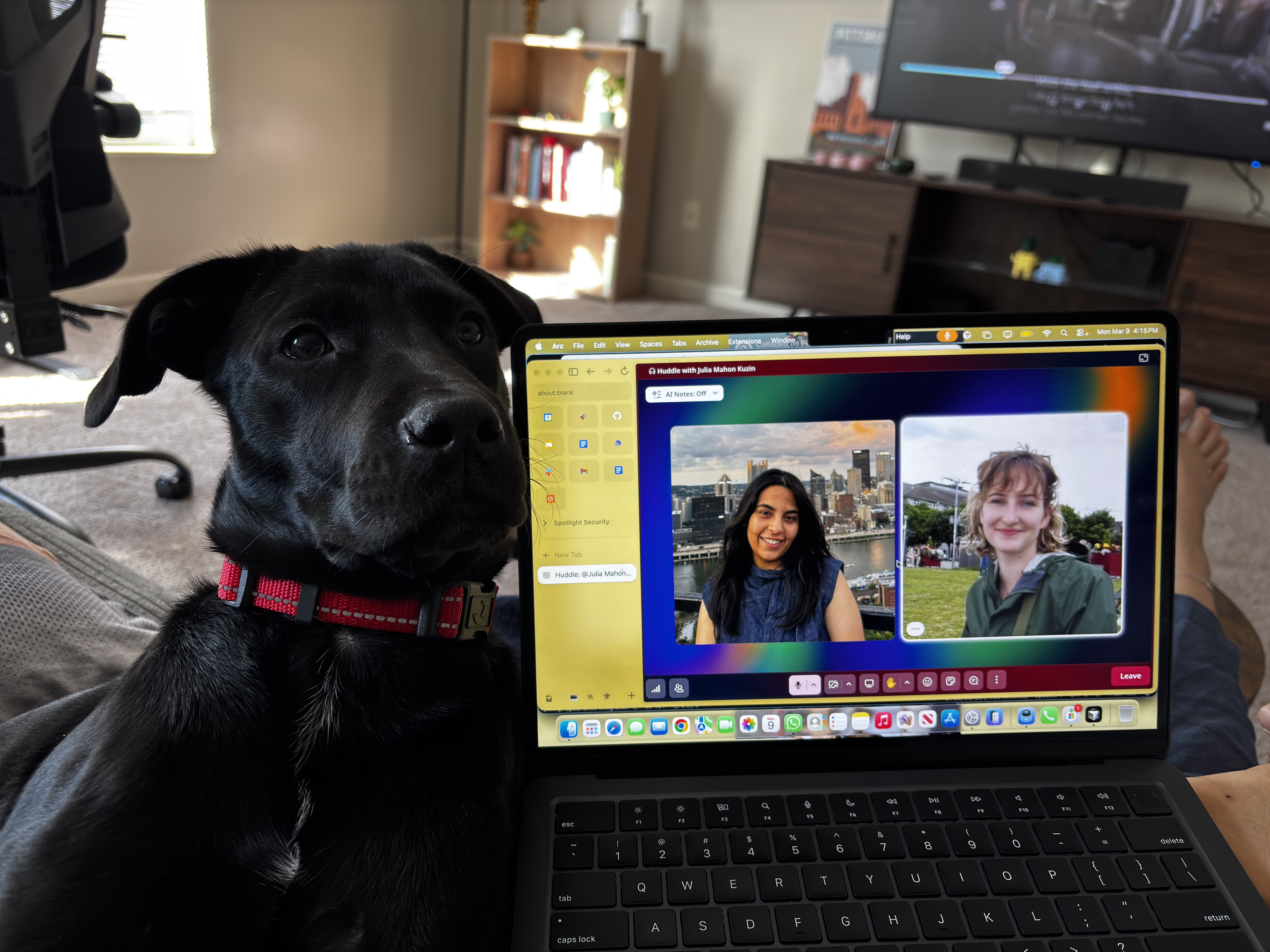 Adopting Lily: A Journey of Commitment and Chaos