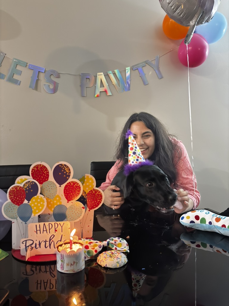 Capability vs. Eligibility (And Other Things My Dog Doesn’t Care About)